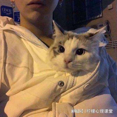 完美世界手游港版下载